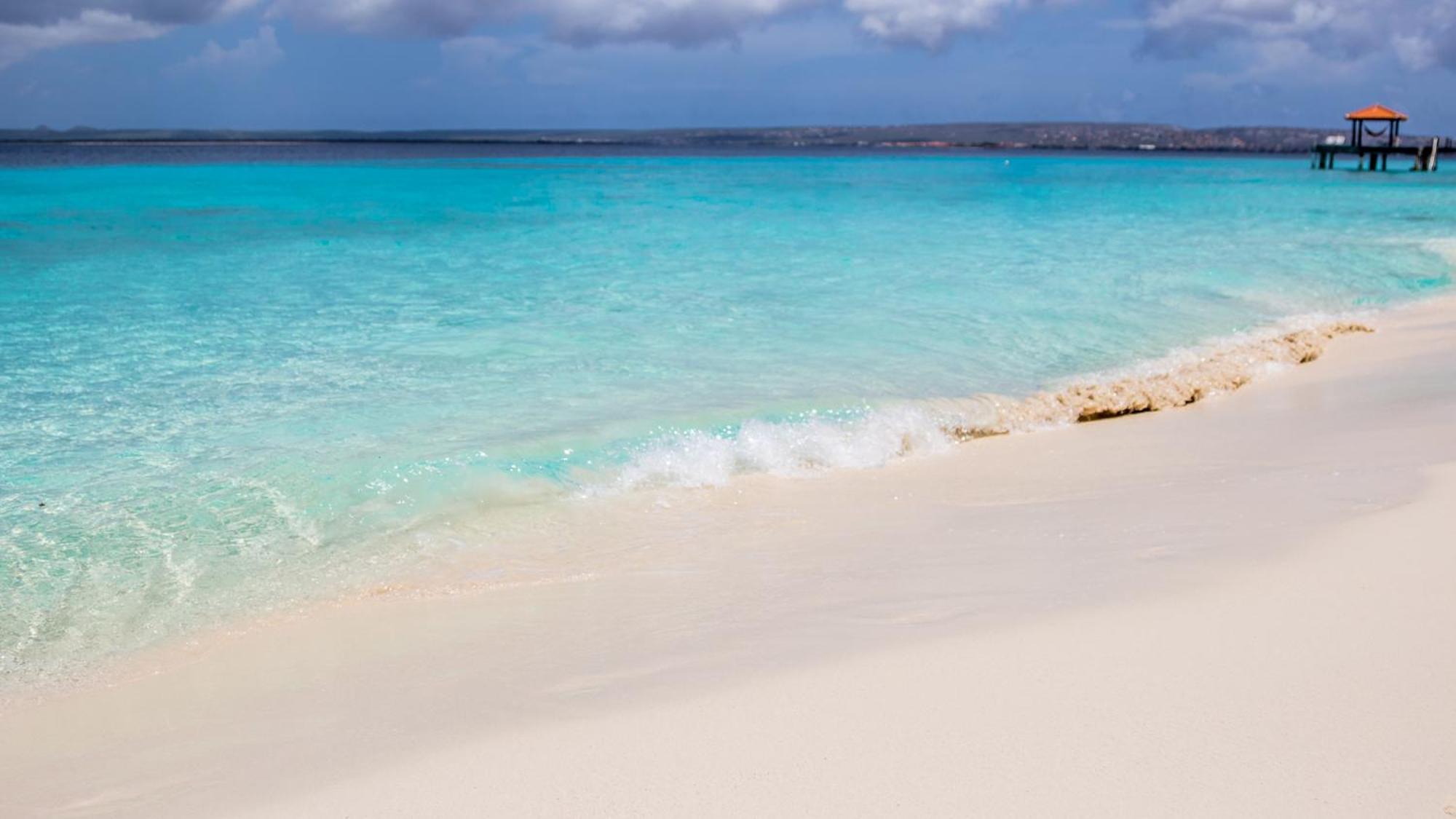 Isla Penthouse & Garden Apartments Bonaire Playa Exterior photo