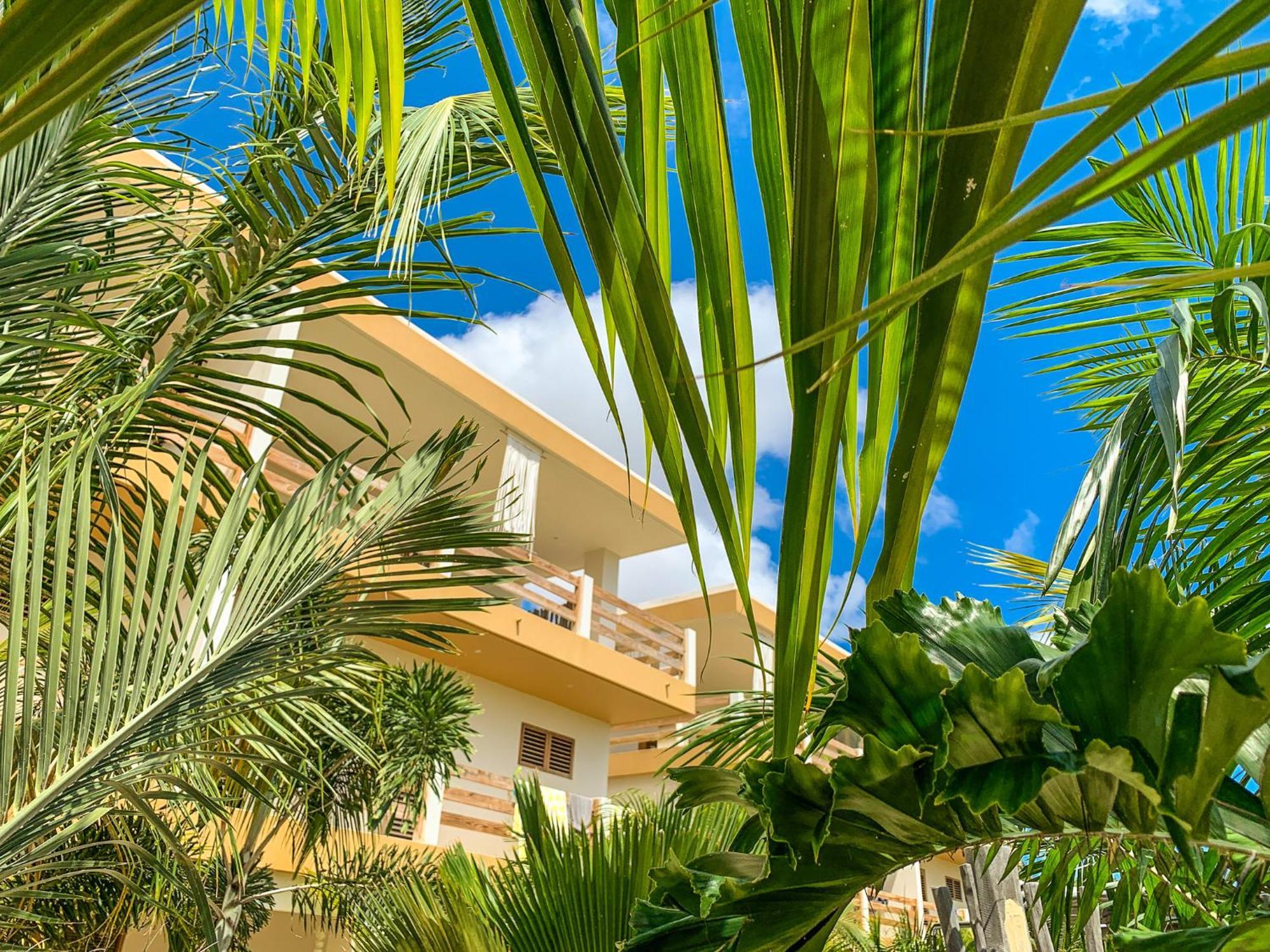 Isla Penthouse & Garden Apartments Bonaire Playa Exterior photo