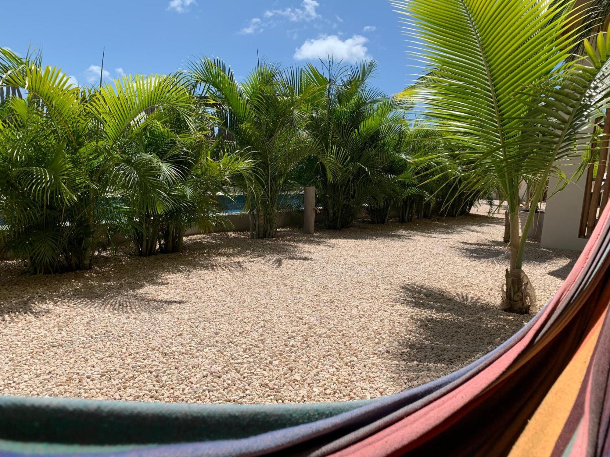 Isla Penthouse & Garden Apartments Bonaire Playa Exterior photo