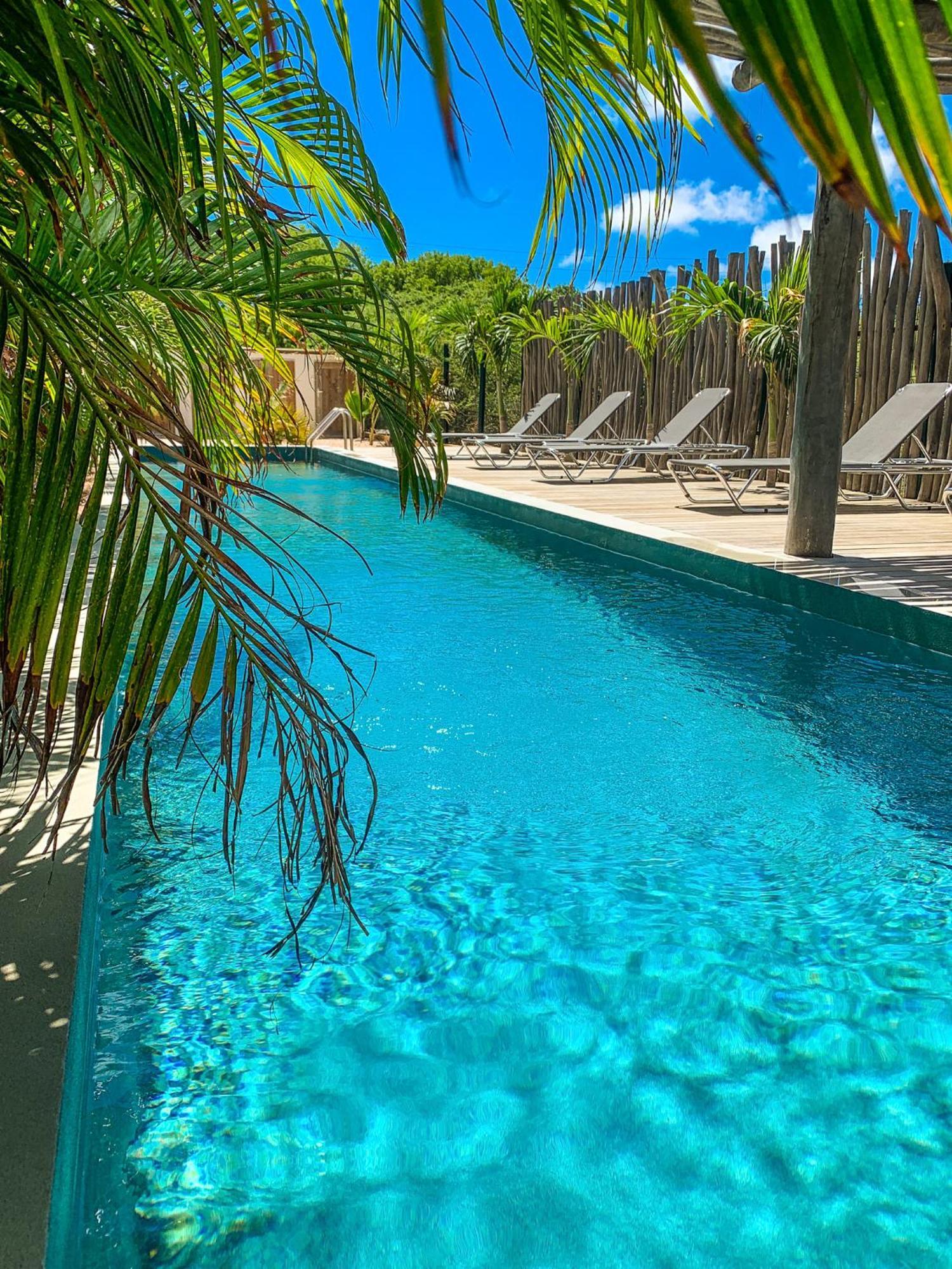 Isla Penthouse & Garden Apartments Bonaire Playa Exterior photo