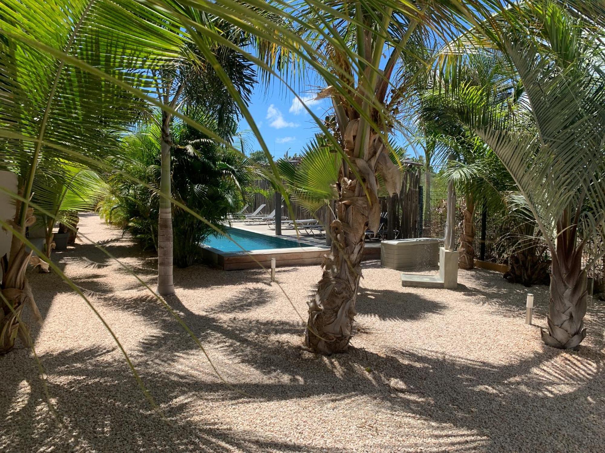 Isla Penthouse & Garden Apartments Bonaire Playa Exterior photo